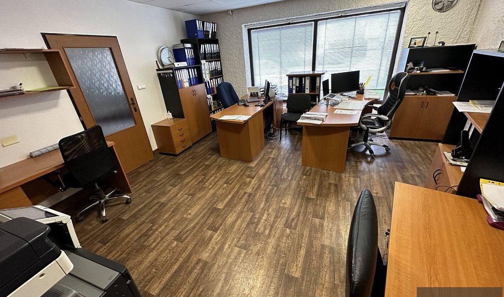Pronájem obchodních prostor 286 m², Uherský Brod – náhled fotky 9