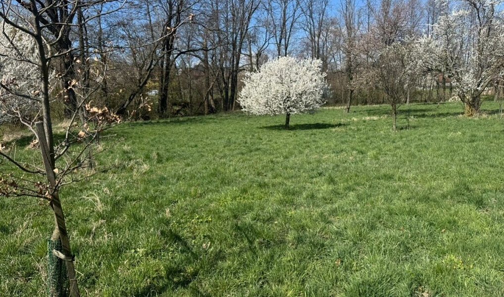 Prodej zahrady 500 m², Nový Jičín – náhled fotky 2