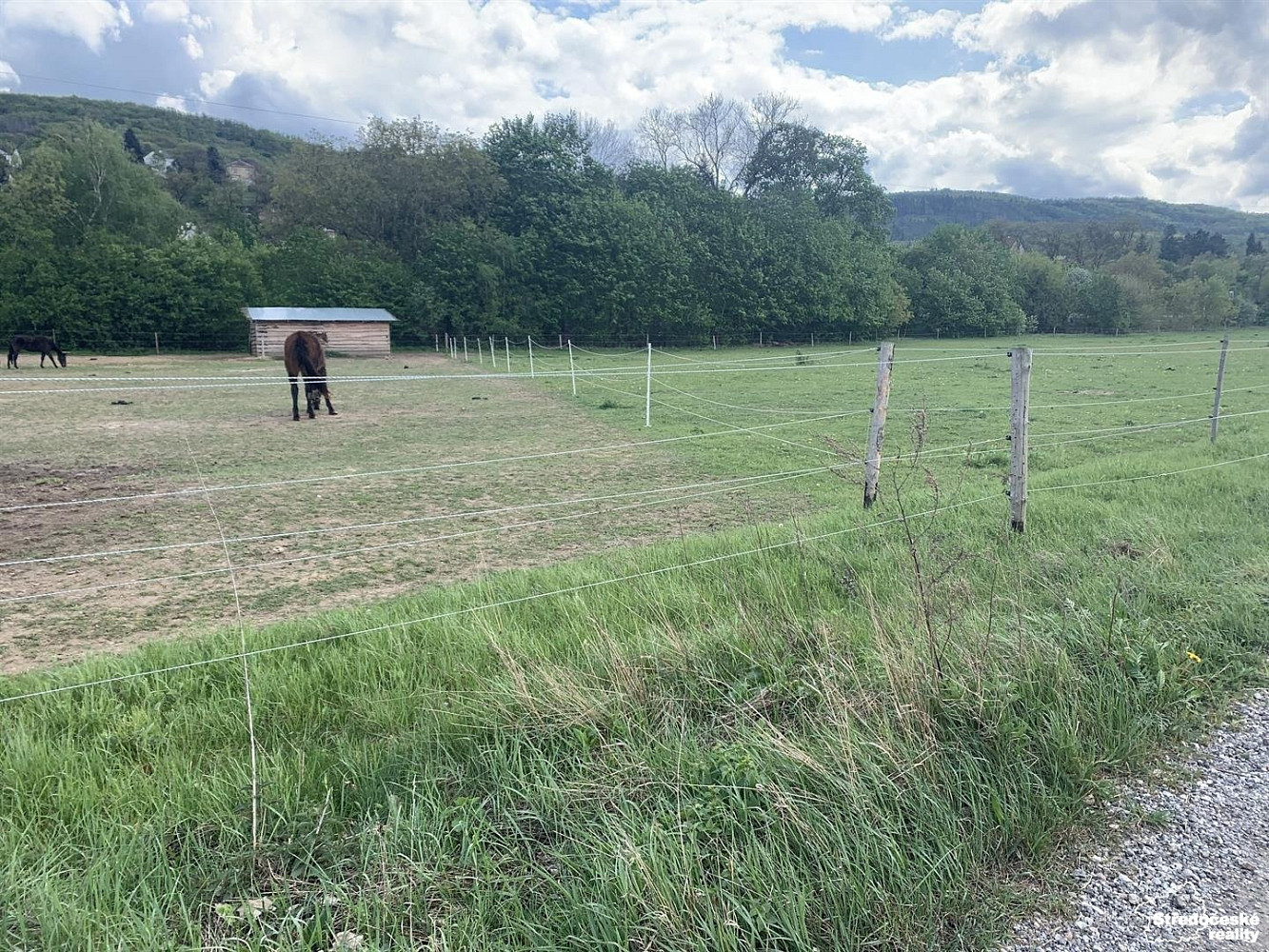 Prodej pozemku 48 982 m² – fotografie 3