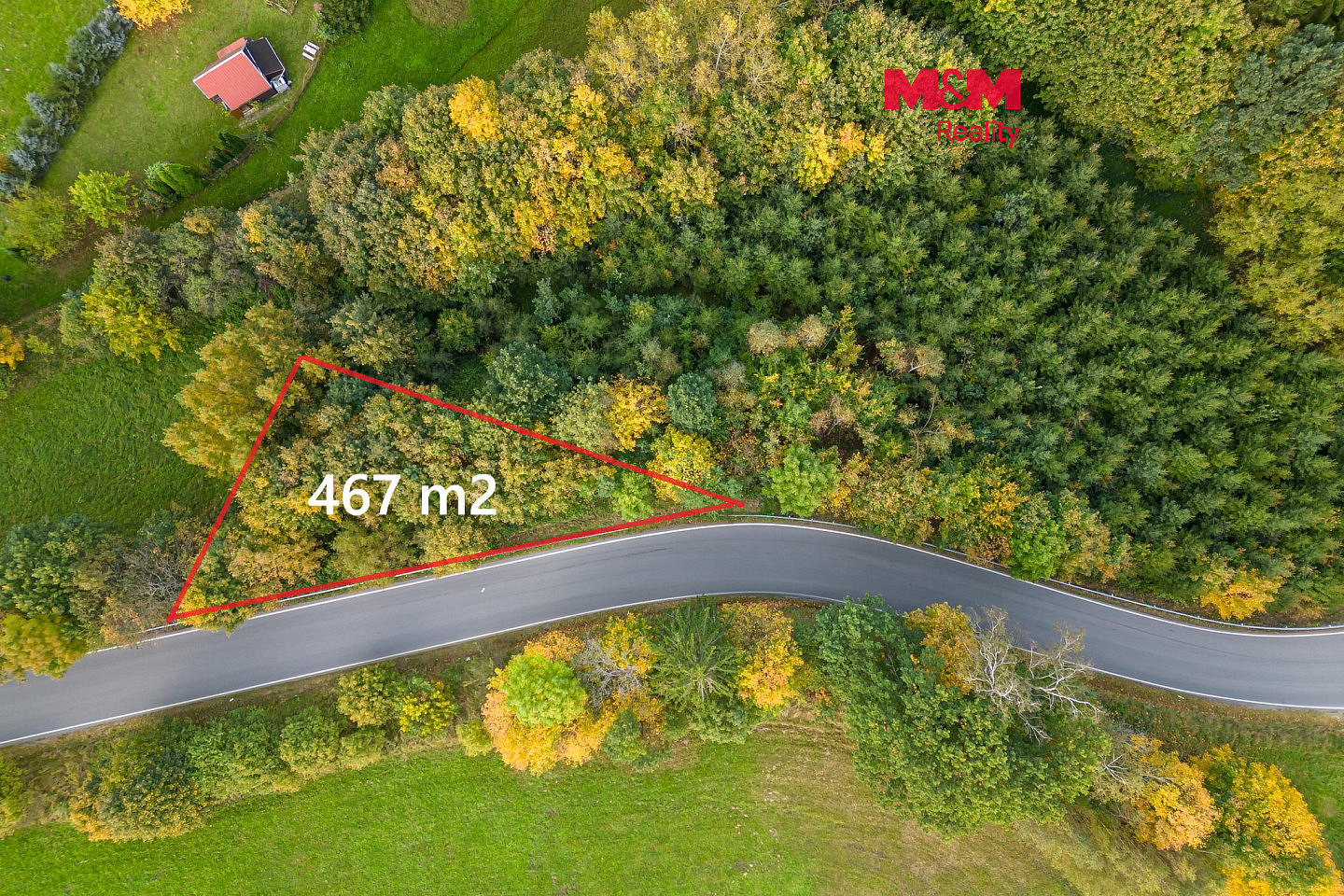 Prodej lesa 467 m²