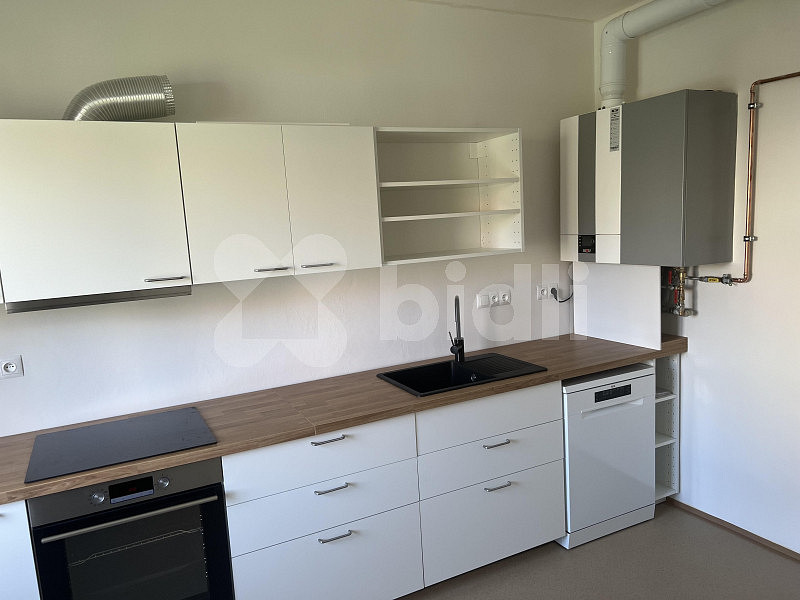 Pronájem bytu 2+1 54 m² – fotografie 4