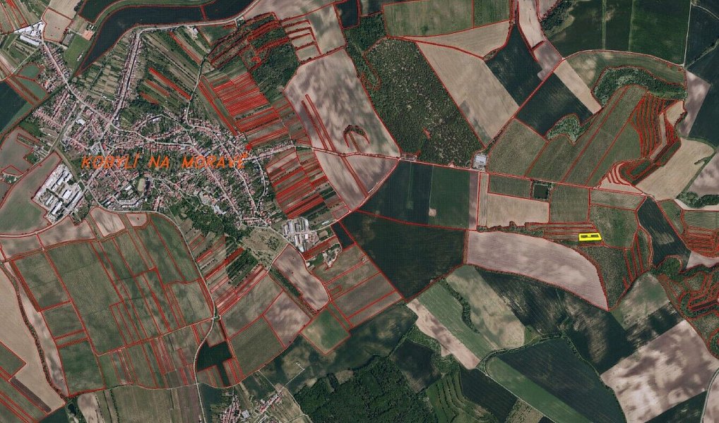 Prodej pole 4 334 m², Kobylí – náhled fotky 2