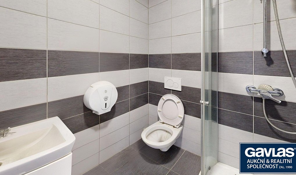 Prodej obchodních prostor 2 774 m², Tavíkovice – náhled fotky 23