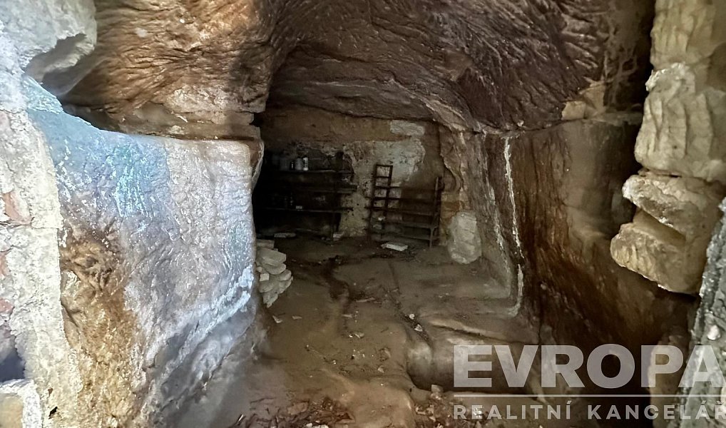 Prodej domu 350 m² s pozemkem 5 913 m², Dubá – náhled fotky 10