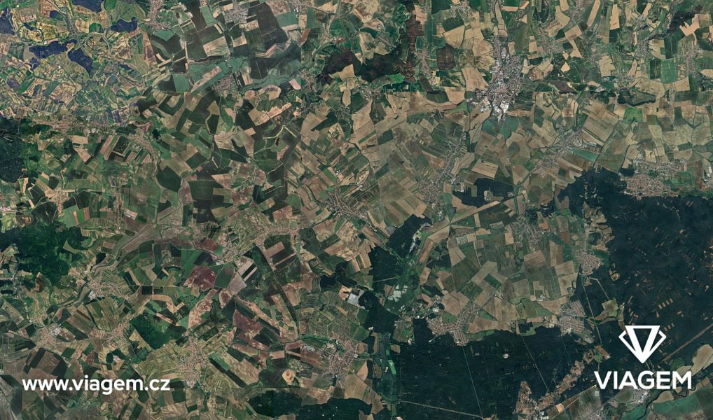 Prodej pole 1 595 m², Šardice – náhled fotky 3