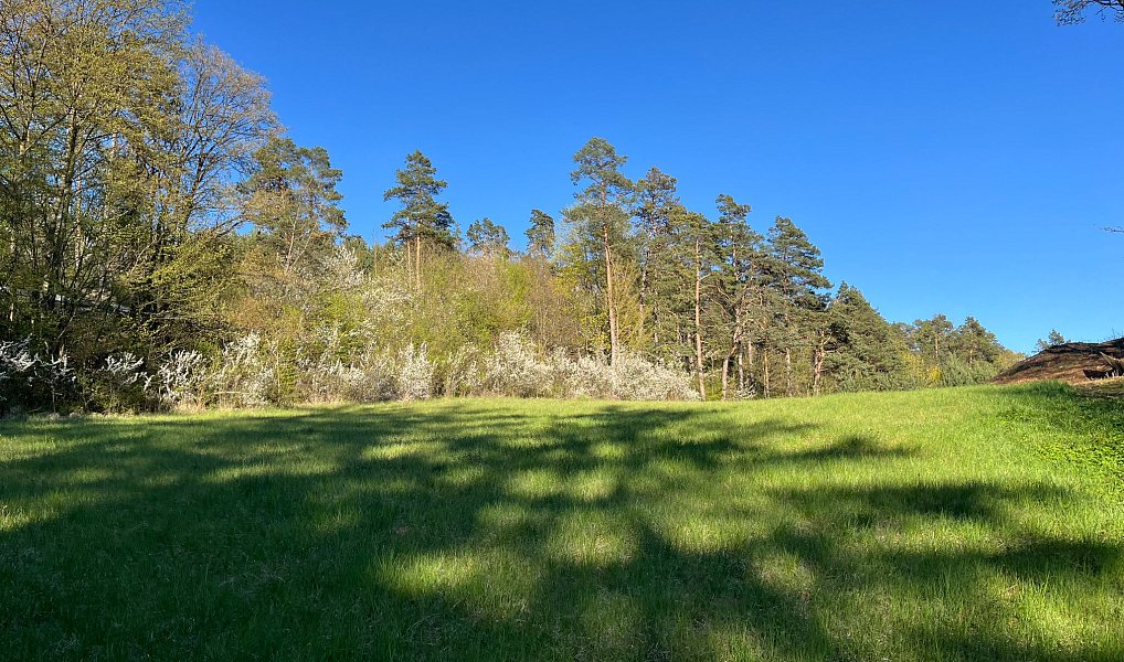 Prodej stavebního pozemku 3 287 m², Blansko – náhled fotky 2