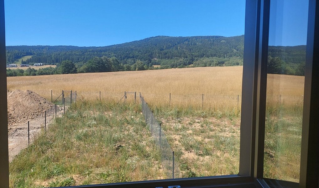 Prodej chaty/chalupy 85 m² s pozemkem 425 m², Červená Voda – náhled fotky 10