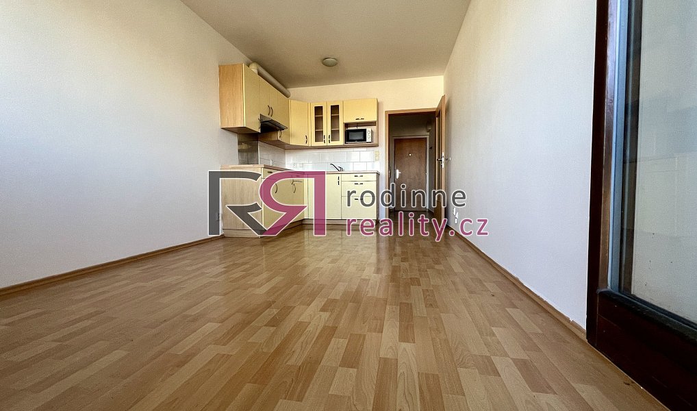 Pronájem bytu 1+kk 24 m², Praha – náhled fotky 4