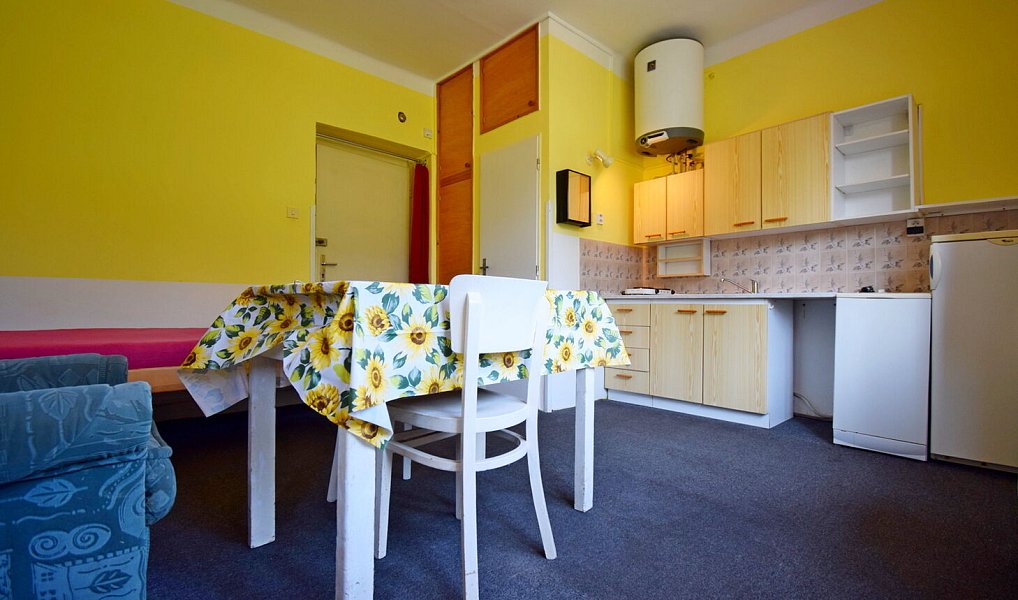 Pronájem bytu 1+kk 20 m², Praha – náhled fotky 3
