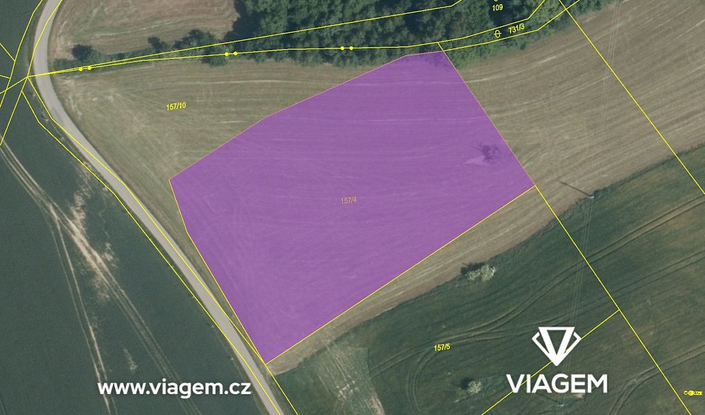 Prodej pole 1 222 m², Zvěstov – náhled fotky 4