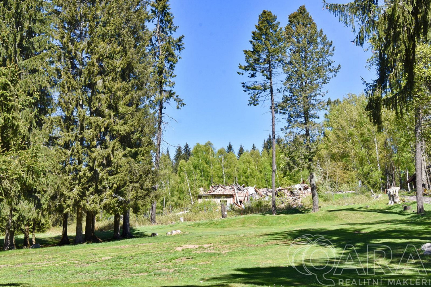 Prodej stavebního pozemku 17 770 m² – fotografie 4