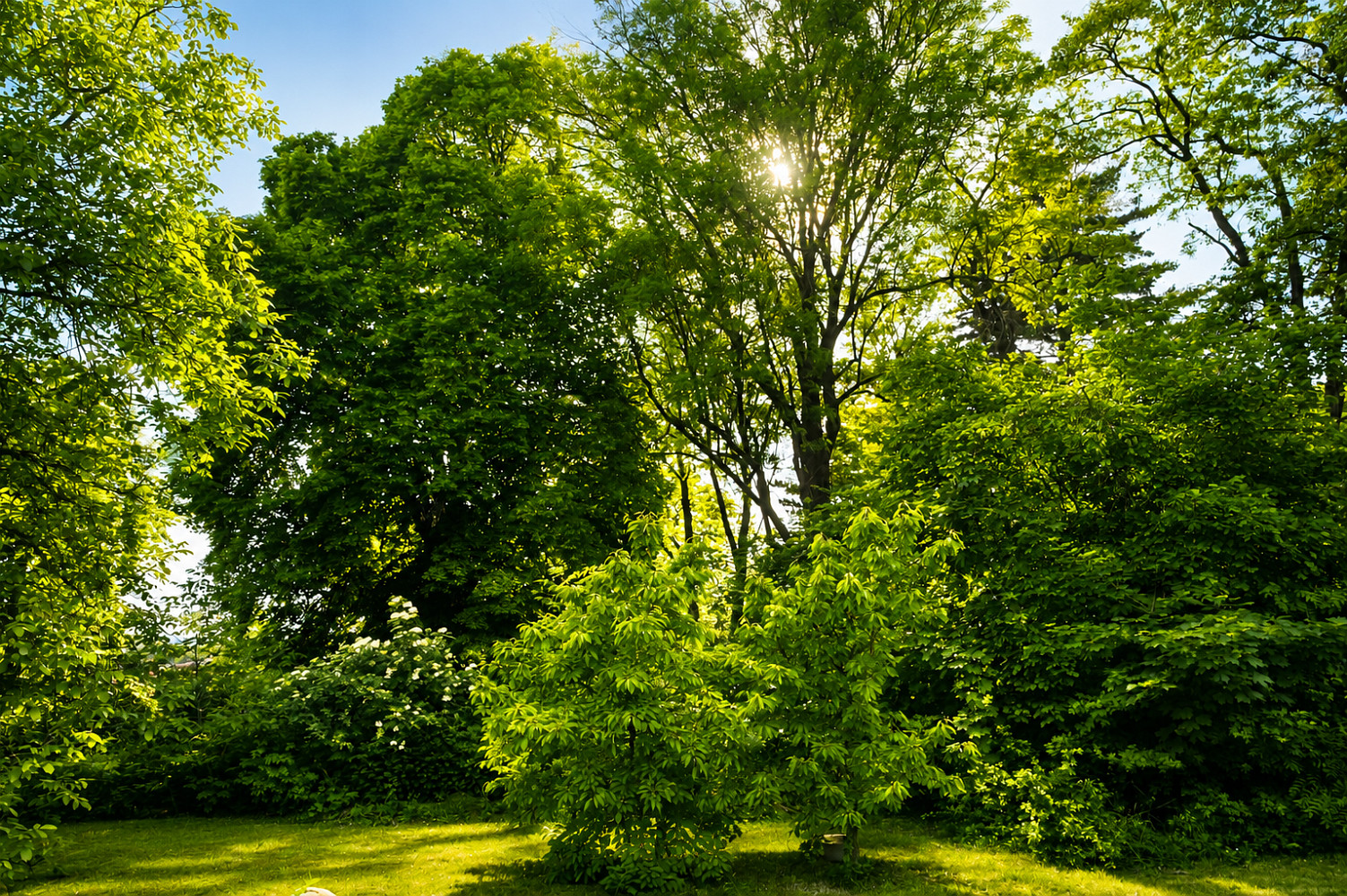 Prodej stavebního pozemku 1 400 m² – fotografie 3