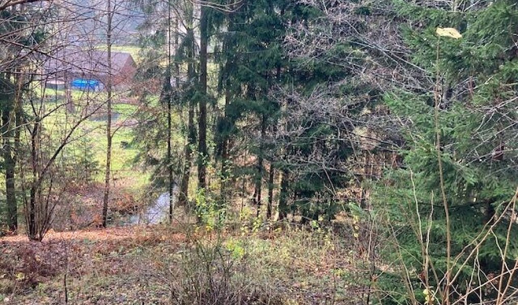 Prodej domu 214 m² s pozemkem 2 422 m², Zlatá Olešnice – náhled fotky 21