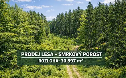 Prodej lesa 30 897 m², Svatá Maří, okres Prachatice
