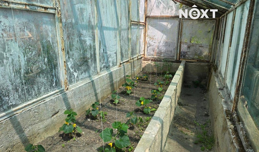 Prodej domu 27 m² s pozemkem 745 m², Horní Jiřetín – náhled fotky 12