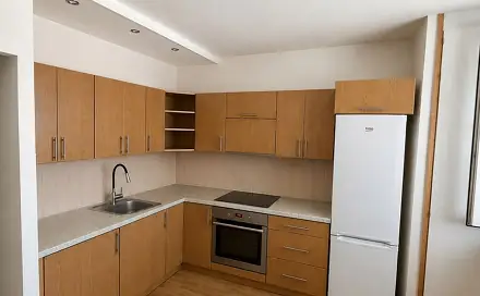 Prodej bytu 1+1 35 m², Srbská, Brno - Královo Pole