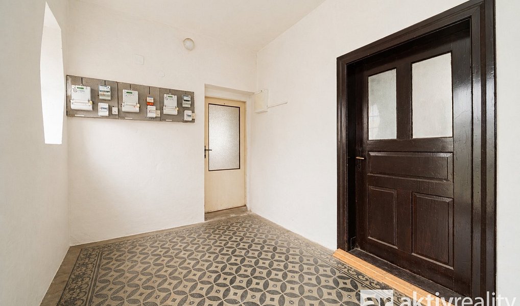 Prodej domu 250 m² s pozemkem 1 005 m², Dolní Zálezly – náhled fotky 30