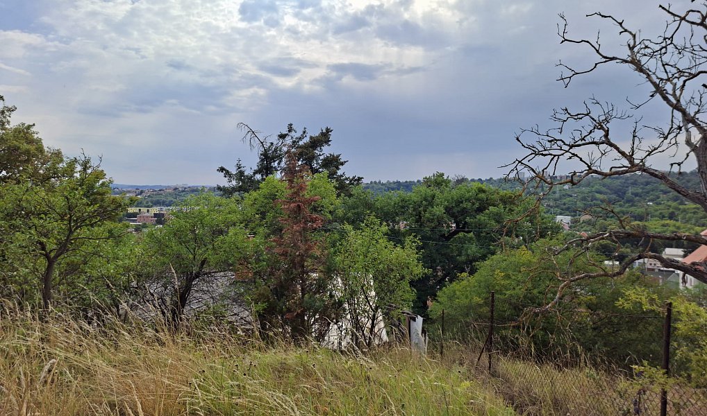 Prodej chaty/chalupy 35 m² s pozemkem 1 992 m², Brno – náhled fotky 5