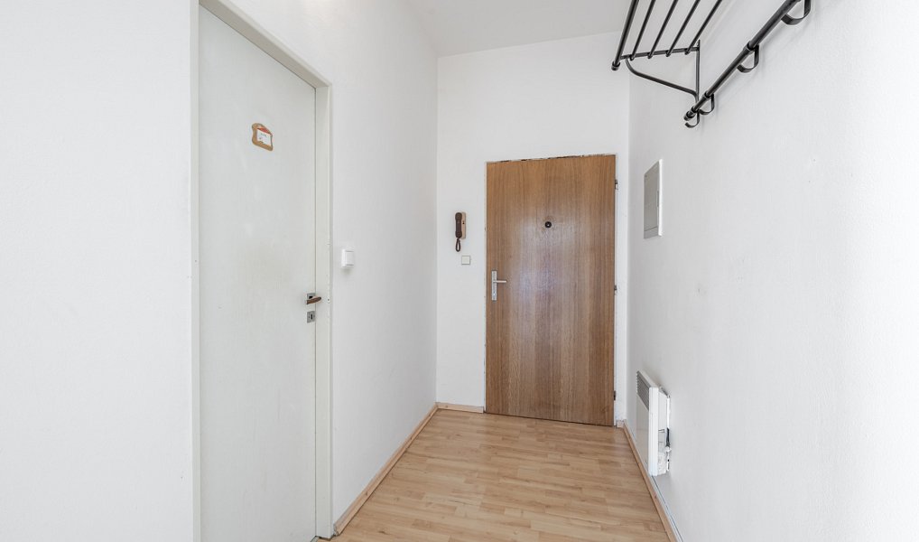 Prodej bytu 1+1 40 m², Plzeň – náhled fotky 8
