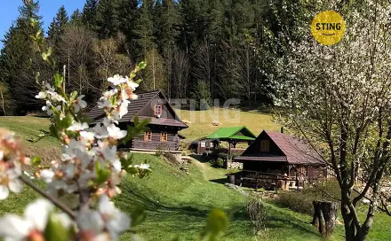 Prodej domu 2 989 m² s pozemkem 17 580 m², Hutisko-Solanec - Solanec pod Soláněm, okres Vsetín