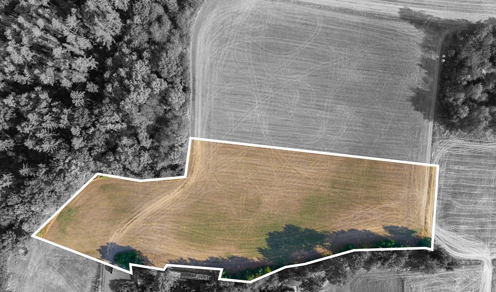 Prodej pole 11 767 m², Benešov – náhled fotky 2