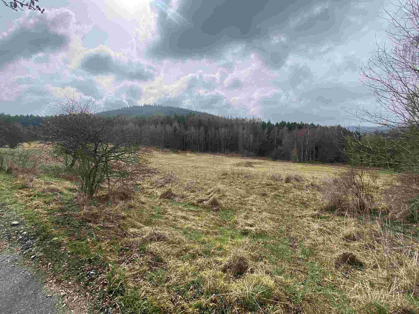 Prodej pole 8 071 m²