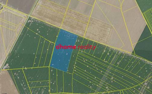 Prodej pole 39 414 m², Křelov-Břuchotín, okres Olomouc