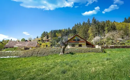 Prodej domu 691 m² s pozemkem 3 781 m², Písek - Budějovické Předměstí
