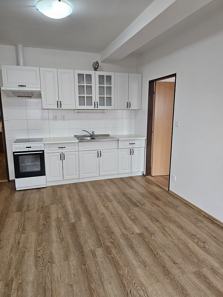 Pronájem bytu 2+kk 46 m² — photo 4