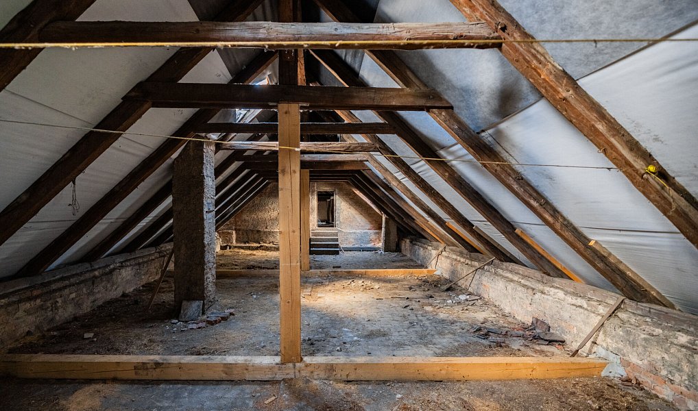 Prodej domu 700 m² s pozemkem 4 338 m², Chlumec nad Cidlinou – náhled fotky 25