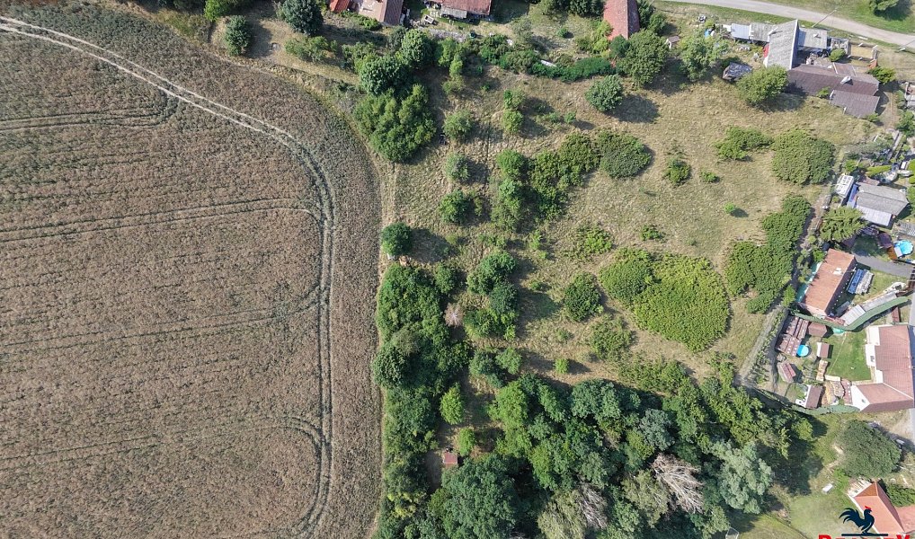 Prodej zahrady 2 658 m², Černýšovice – náhled fotky 6