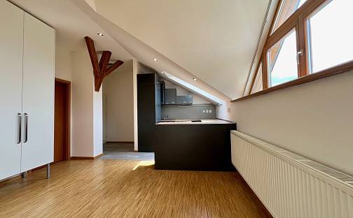 Pronájem bytu 2+kk 51 m², Obilní trh, Brno - Veveří