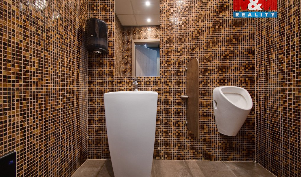 Pronájem obchodních prostor 180 m², Rožnov pod Radhoštěm – náhled fotky 12