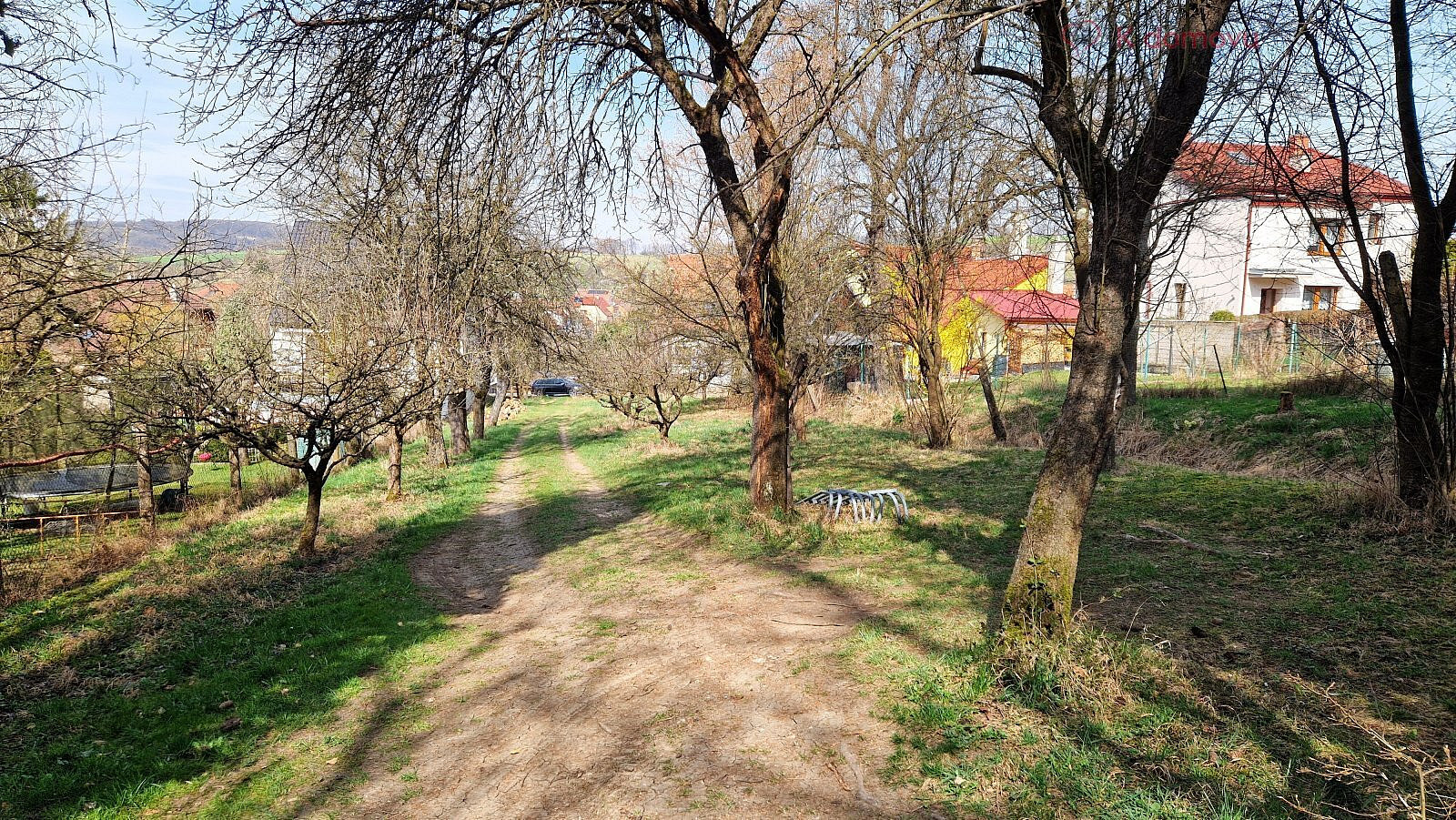 Fotka 6 z 12