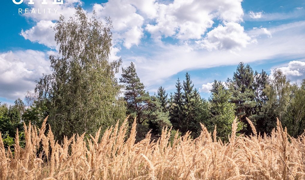 Prodej lesa 985 653 m², Žerčice – náhled fotky 21