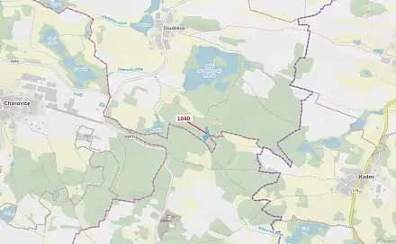 Dražba lesa 6 519 m², Slatina