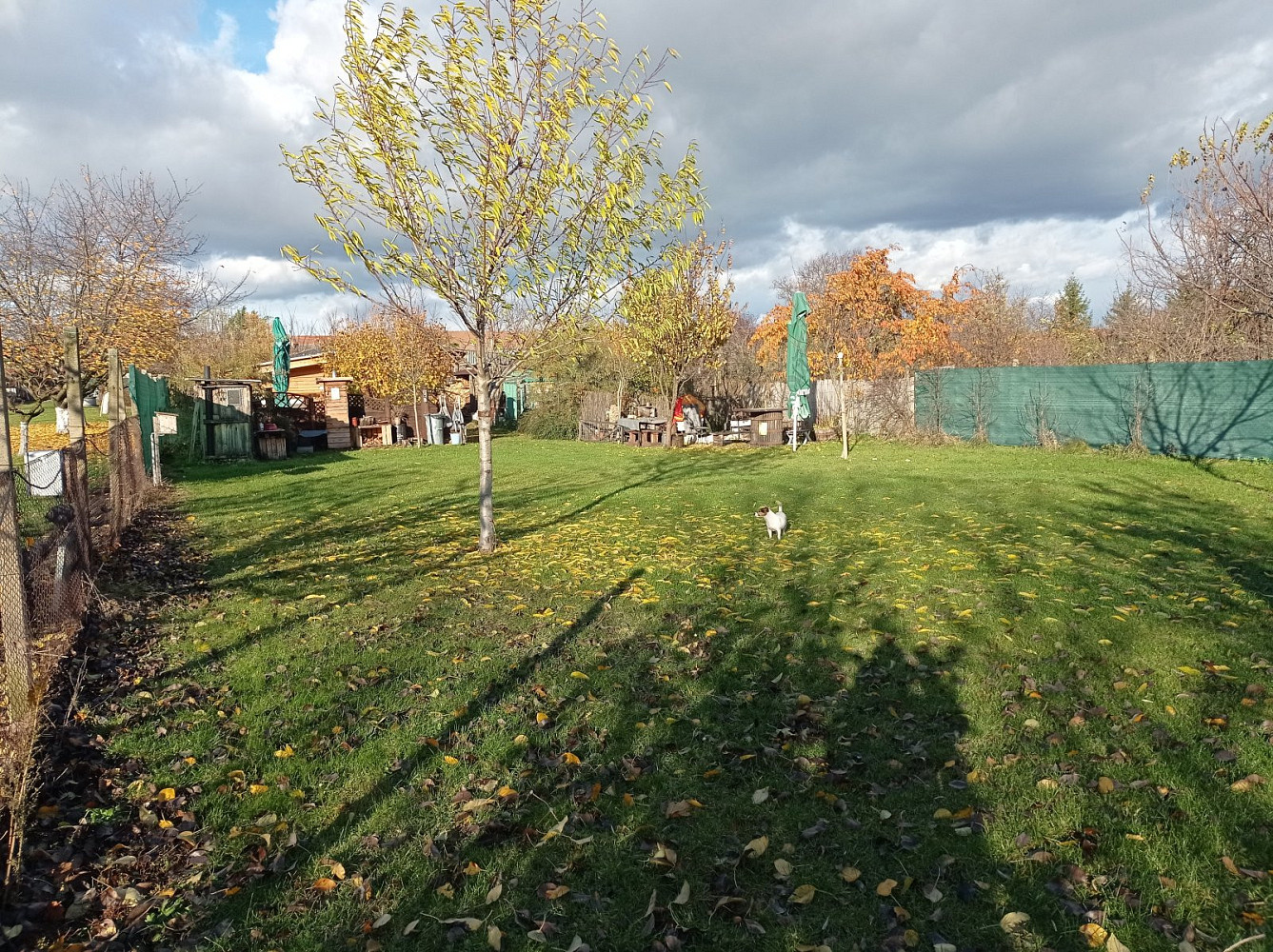 Prodej stavebního pozemku 1 285 m² – fotografie 4
