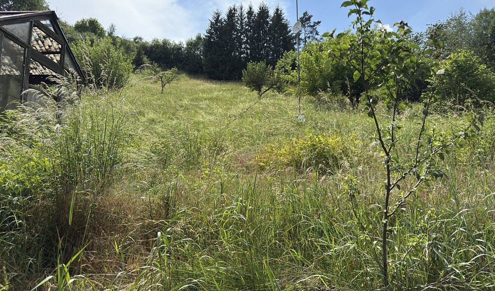 Prodej domu 182 m² s pozemkem 3 800 m², Pavlíkov – náhled fotky 14