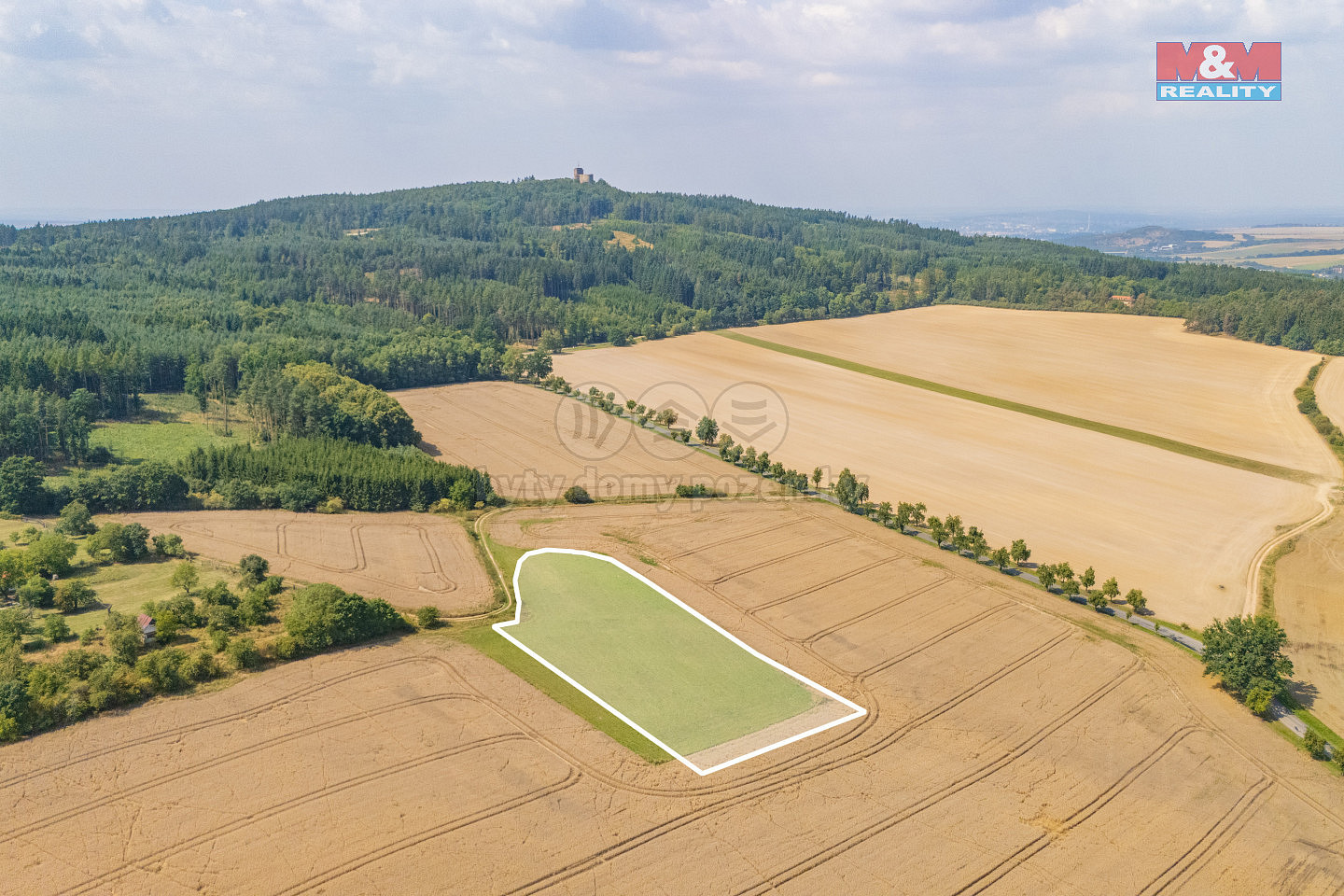 Prodej louky 8 007 m² – fotografie 2