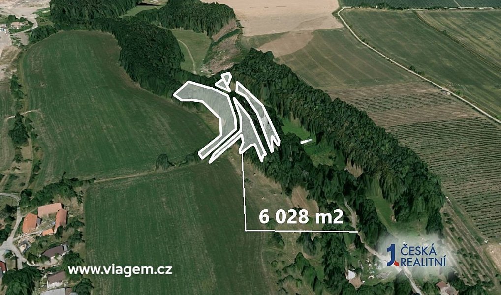 Prodej lesa 586 m², Velký Třebešov – náhled fotky 2