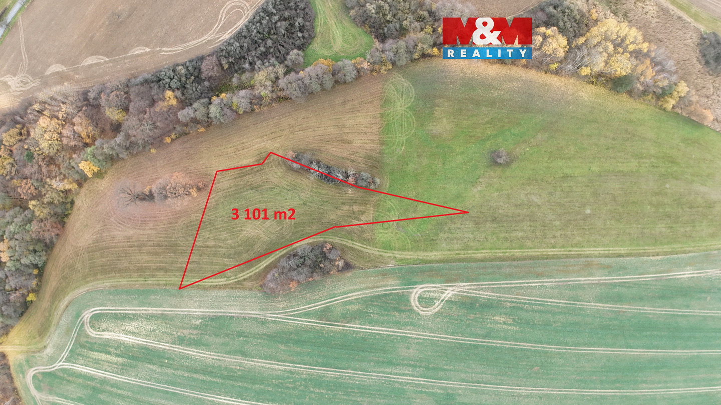 Prodej louky 3 101 m²