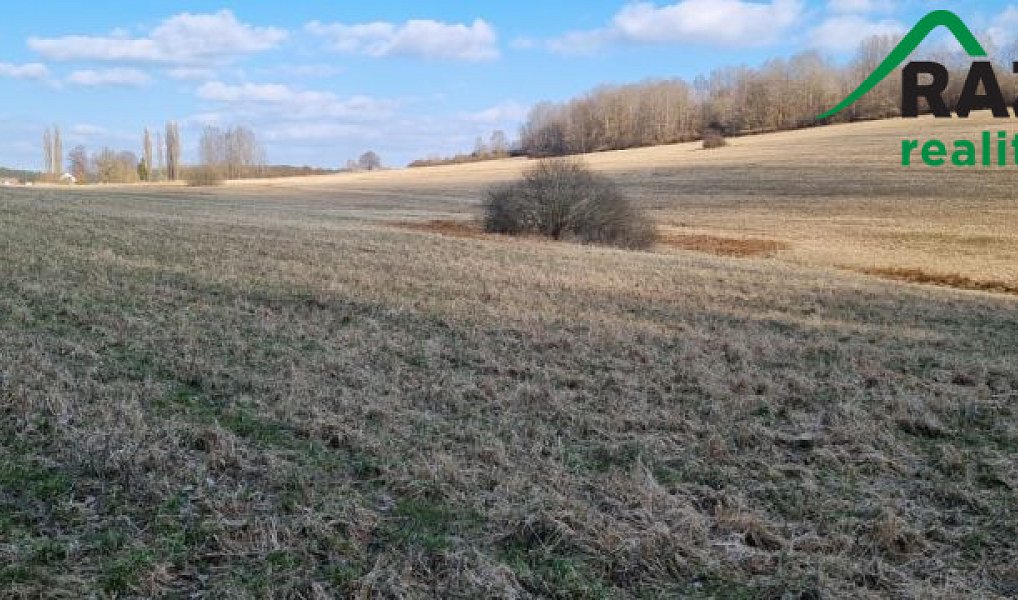 Prodej pole 642 424 m², Halže – náhled fotky 2