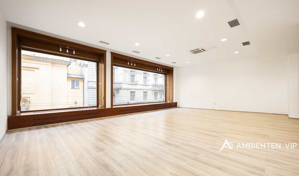 Prodej obchodních prostor 494 m², Brno – náhled fotky 30
