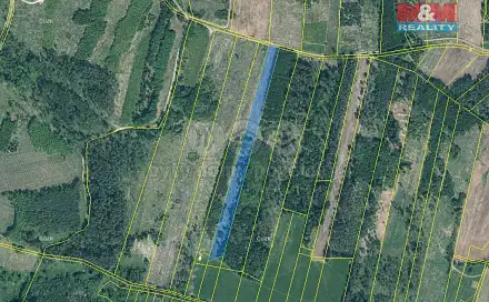 Prodej lesa 13 685 m², Jetětice, okres Písek