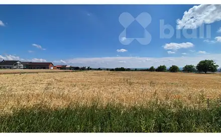 Prodej pole 3 577 m², Stará Ves, okres Přerov