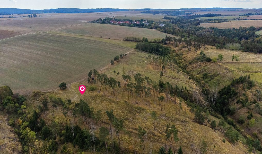 Prodej lesa 15 246 m², Vladislav – náhled fotky 10