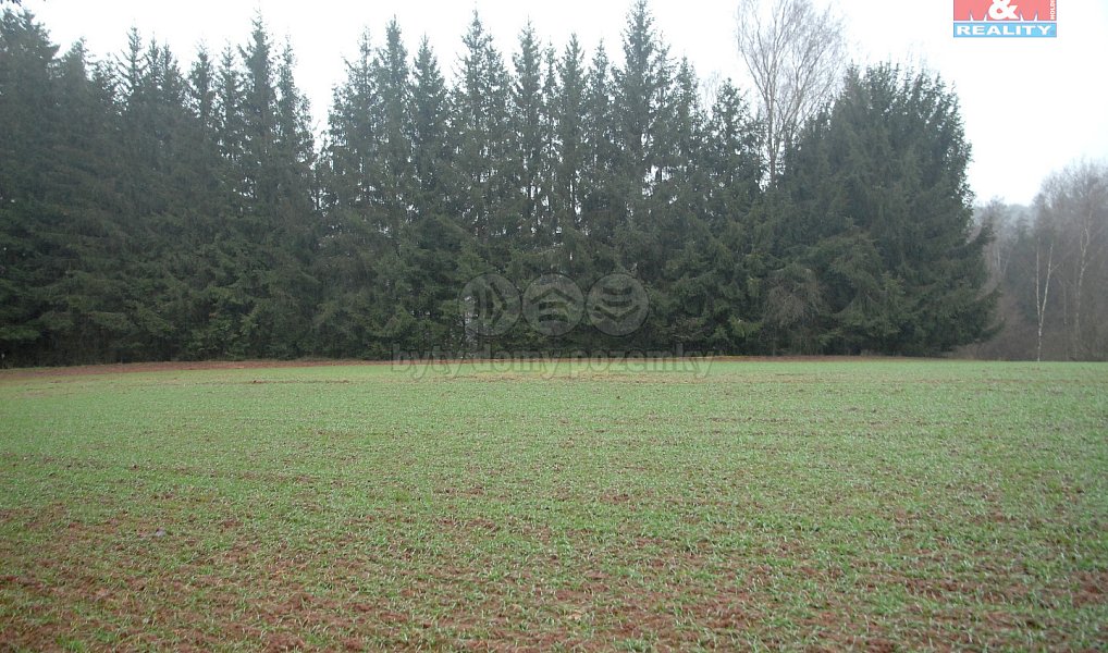 Prodej pole 2 465 m², Lomnice nad Popelkou – náhled fotky 8