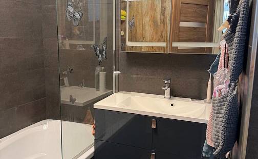 Prodej bytu 2+1 65 m², nám. 17. listopadu, Karlovy Vary - Rybáře