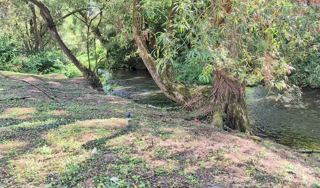 Prodej nájemního domu, činžáku 540 m², Sentice – náhled fotky 4