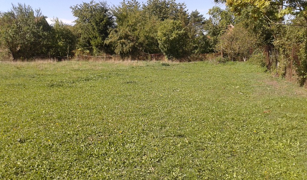 Pronájem zahrady 1 555 m², Městec Králové – náhled fotky 11